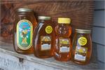 Pure Honey - VT Maple Sugar and Spice